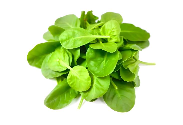 The Benefits of Spinach Leaves in Your Diet